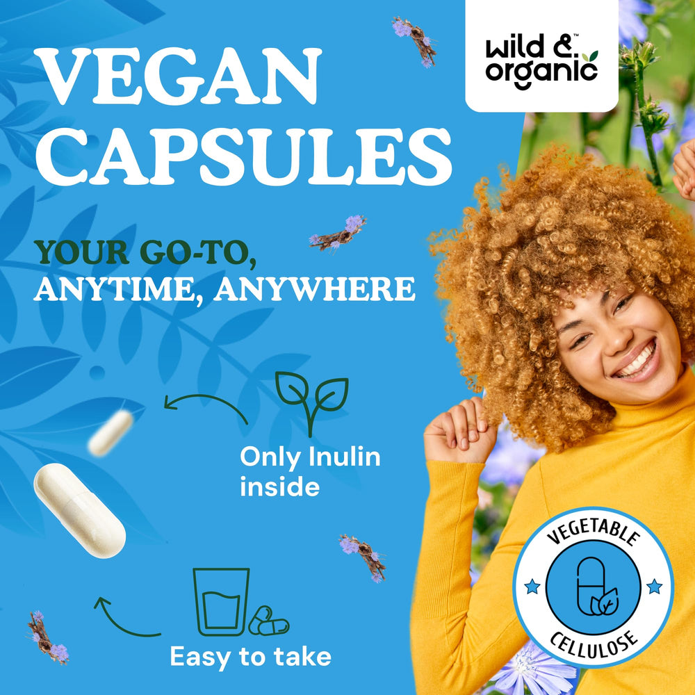 Chicory root inulin powder