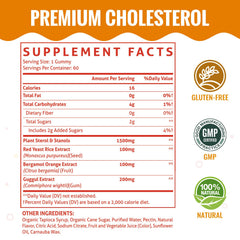 Front view of ChiQwench Mixed Berry Cholesterol Gummies 120 count