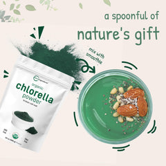 Close-up texture of raw chlorella powder