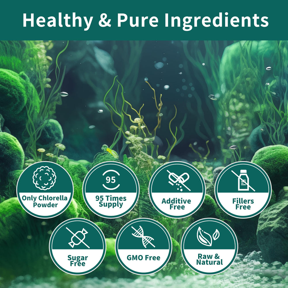 Chlorella powder in a bowl with a scoop