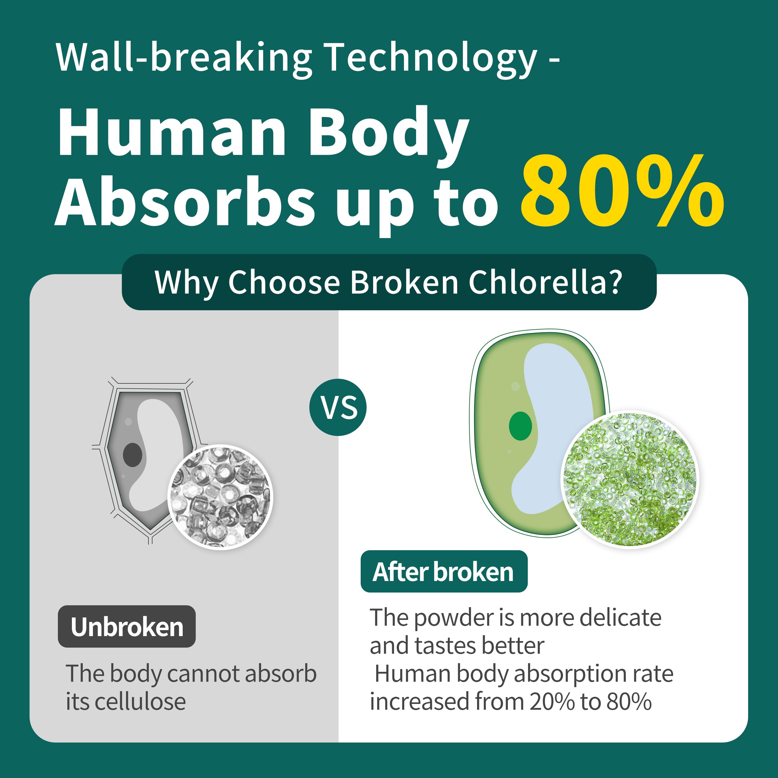Chlorella powder scoop beside a jar