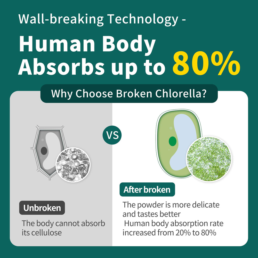 Chlorella powder scoop beside a jar