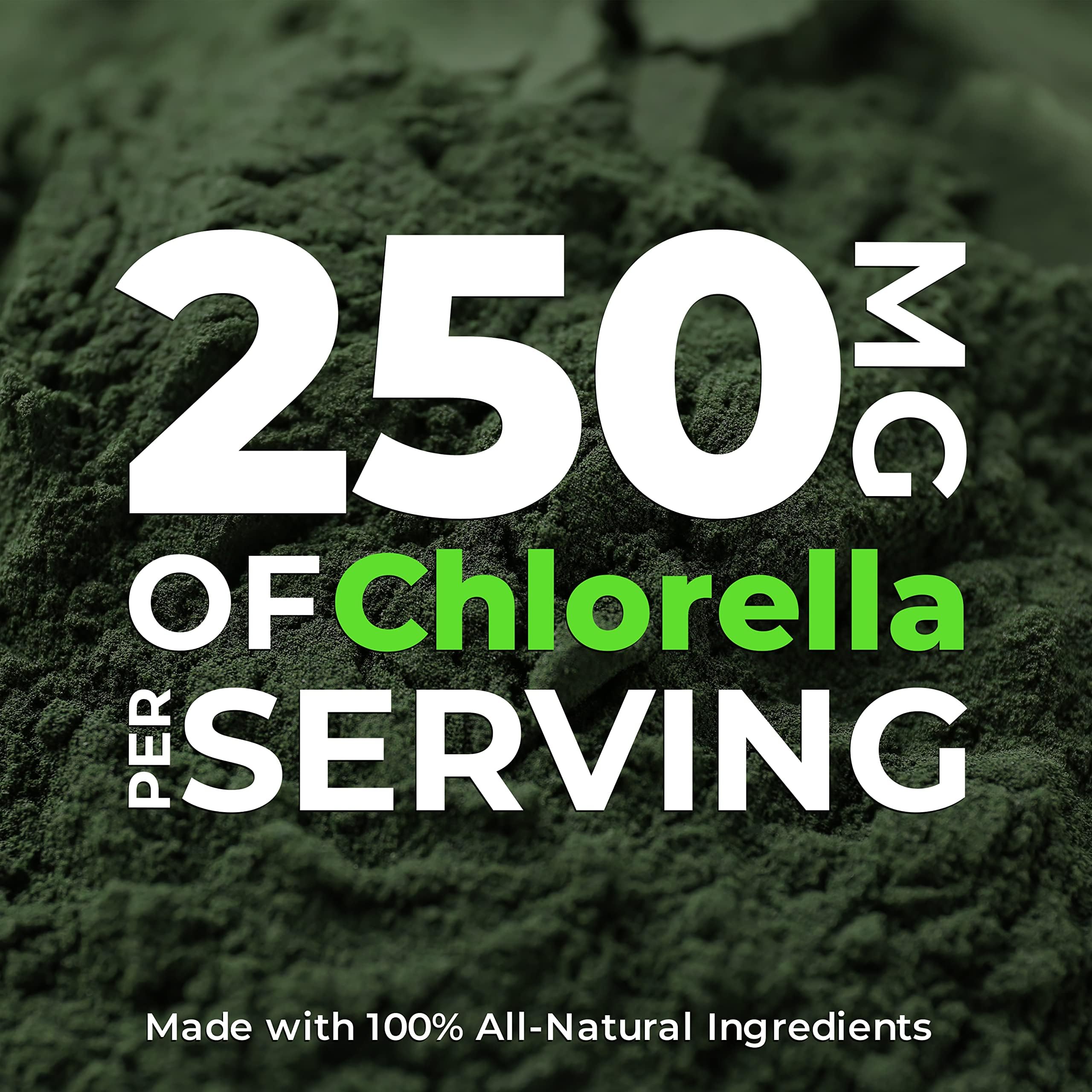 Close-up of chlorella tablets showing green color