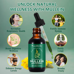 Chlorophyll benefits for lung cleansing