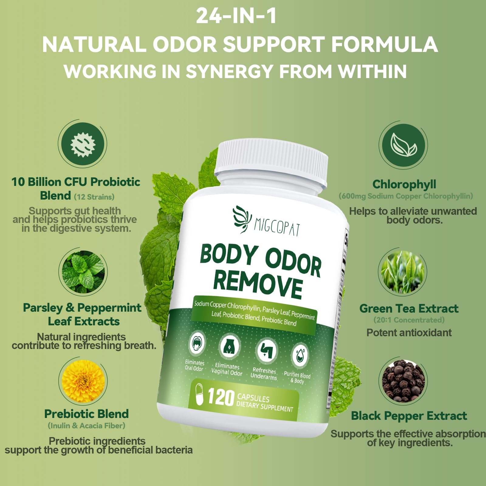 Product ingredients: parsley, peppermint, green tea