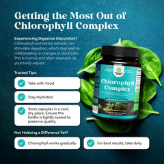 Chlorophyll capsules packaging display