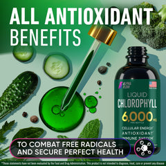 Chlorophyll Drops suitable for kids and adults, vegan-friendly