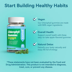 Label highlighting Vitamin C, B12, Magnesium, Zinc on chlorophyll gummies