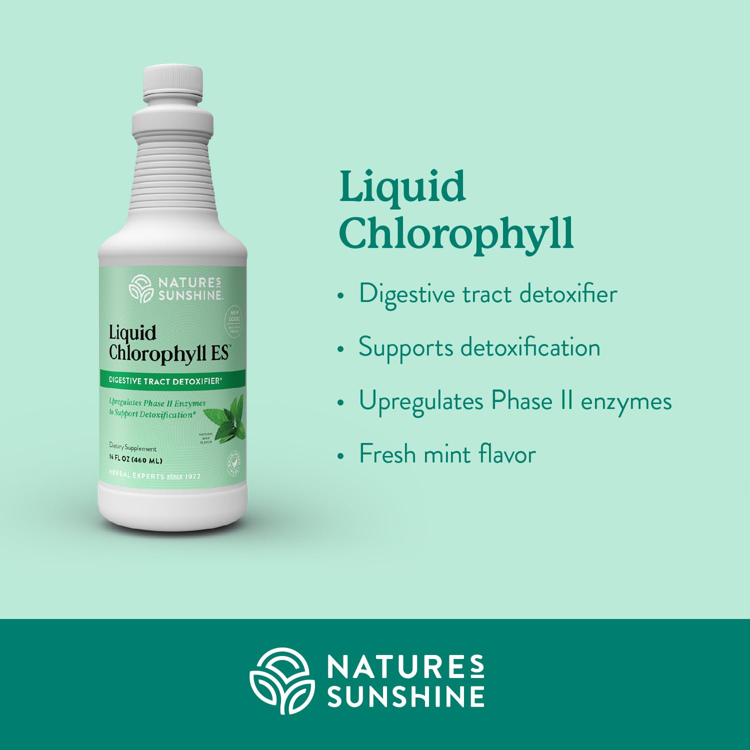 Chlorophyll liquid drops with spearmint oil