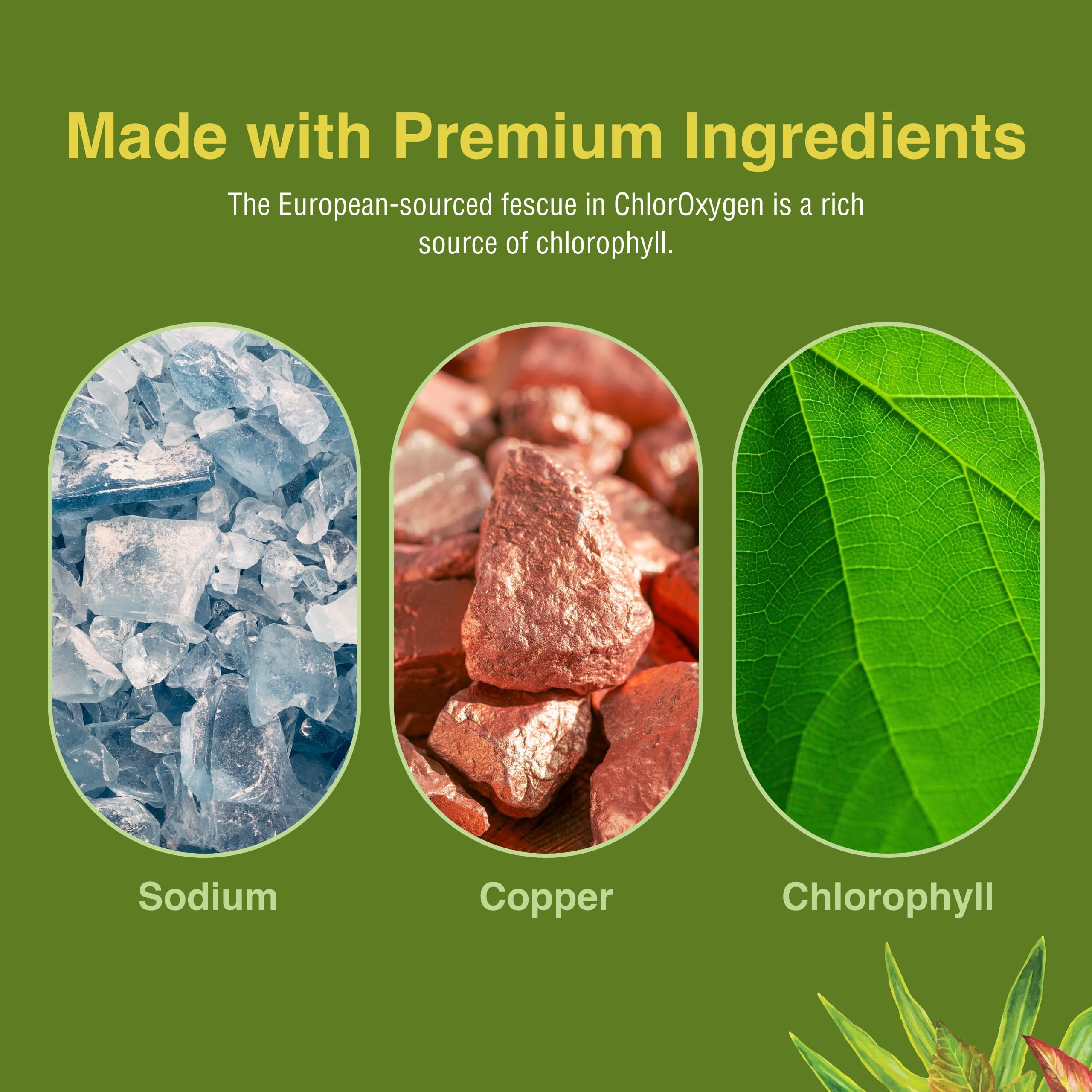 Concept image showing high-altitude environment with chlorophyll supplement