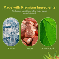 Concept image showing high-altitude environment with chlorophyll supplement