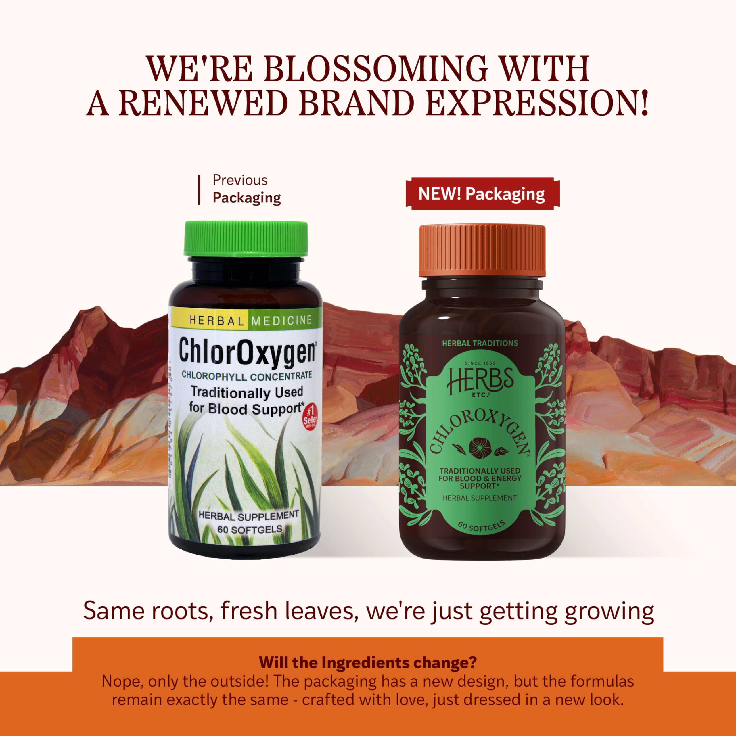 ChlorOxygen Chlorophyll Concentrate bottle with label close-up