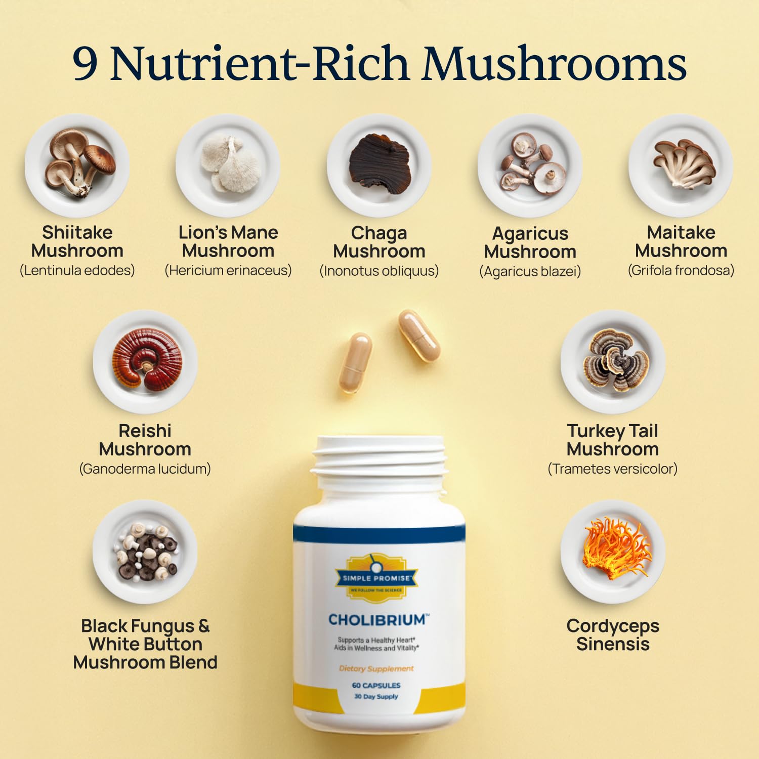 Chaga and Turkey Tail mushrooms visual for Cholibrium