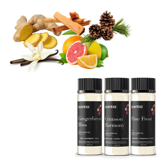 Christmas Fragrance Oil Set 3x20ml front view
