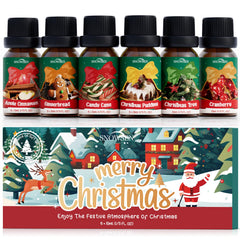 Apple Cinnamon Christmas fragrance oil 10ml