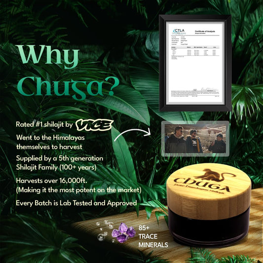 Chuga Shilajit 35g jar pack of 12