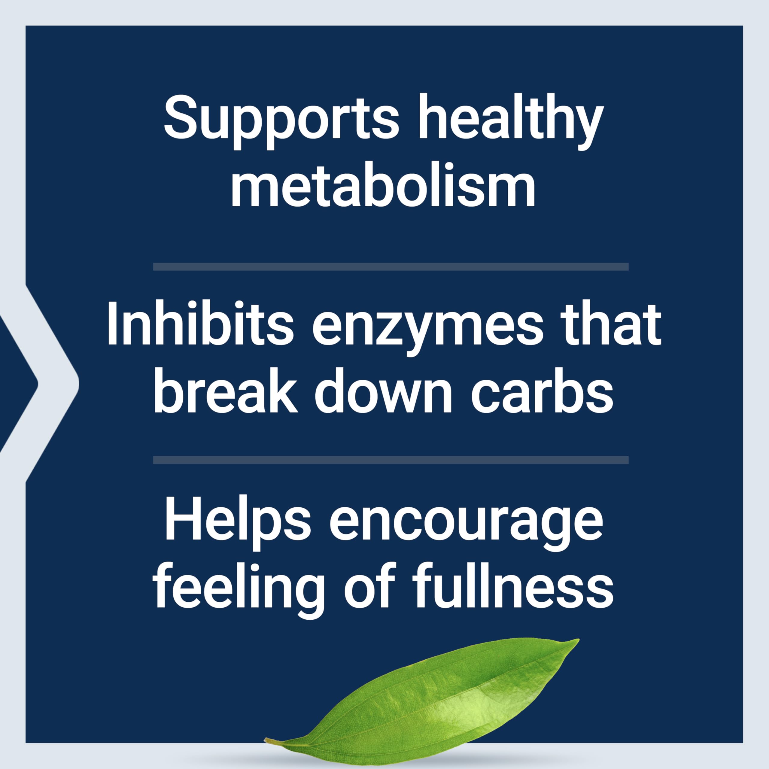 CinSulin cinnamon extract polyphenols for satiety and metabolism