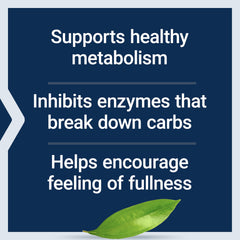 CinSulin cinnamon extract polyphenols for satiety and metabolism