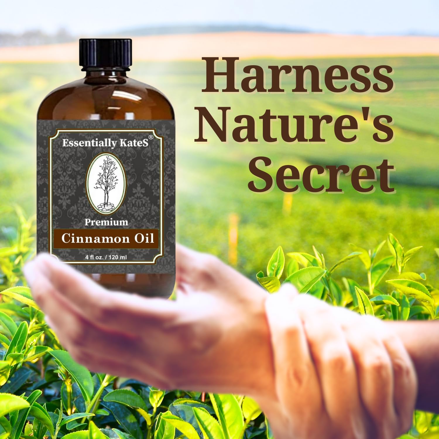 Cinnamon oil for cleaning and DIY soap projects