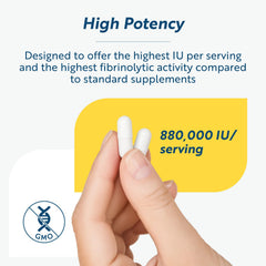 Graphic illustrating circulatory health support with lumbrokinase
