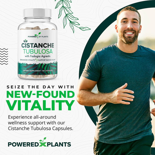 Close-up of capsules from Cistanche Tubulosa supplement