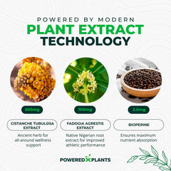 Vegan and gluten-free icons on product packaging