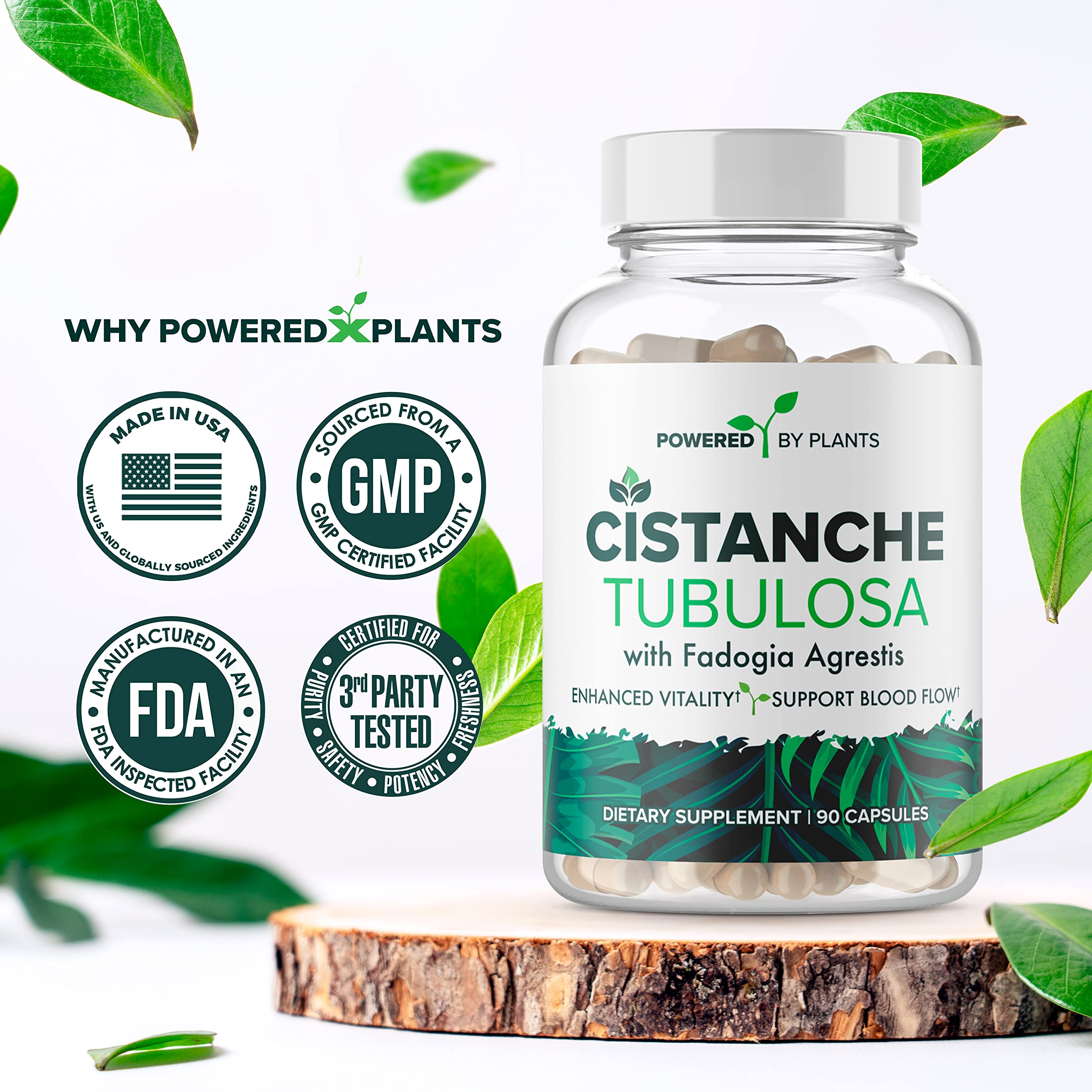 Capsules arranged in a row for the Cistanche Tubulosa supplement