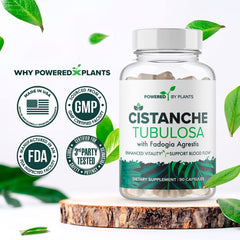 Capsules arranged in a row for the Cistanche Tubulosa supplement