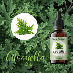 Outdoor scene with citronella oil repellent ambiance