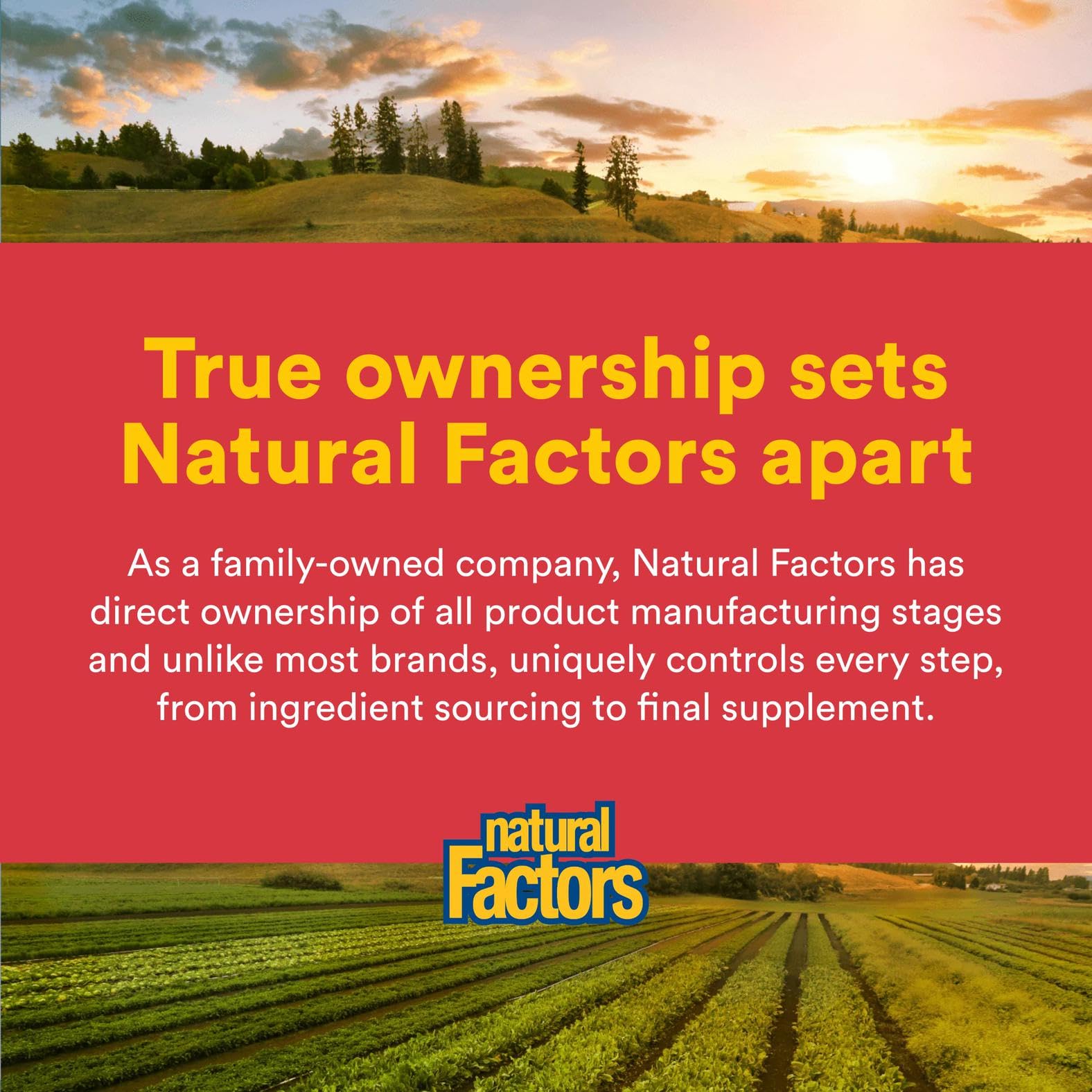 Packaging of Natural Factors Citrus Bioflavonoids 650mg 90 capsules