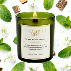 Close-up of wood wick crackling in Eucalyptus Mint candle