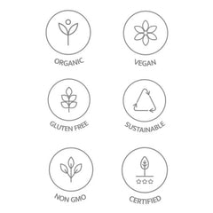 Graphic illustrating focus, memory, and vitality from mushroom extract