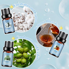 Eucalyptus & Cotton fragrance oil bottle