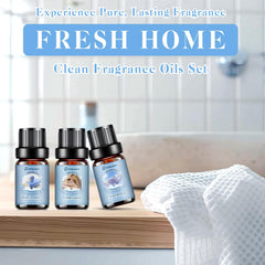 Cardamom & Cedar fragrance oil bottle