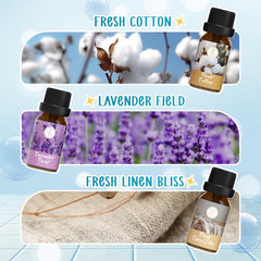 Lavender Fields fragrance oil 10ml from Clean Essential Oils Set