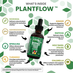 Ingredients: moringa, ashwagandha, spirulina, chlorella, barley grass and turmeric