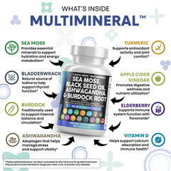 15-in-1 MultiMineral blend capsule lineup featuring Sea Moss, Black Seed, Ashwagandha and Turmeric