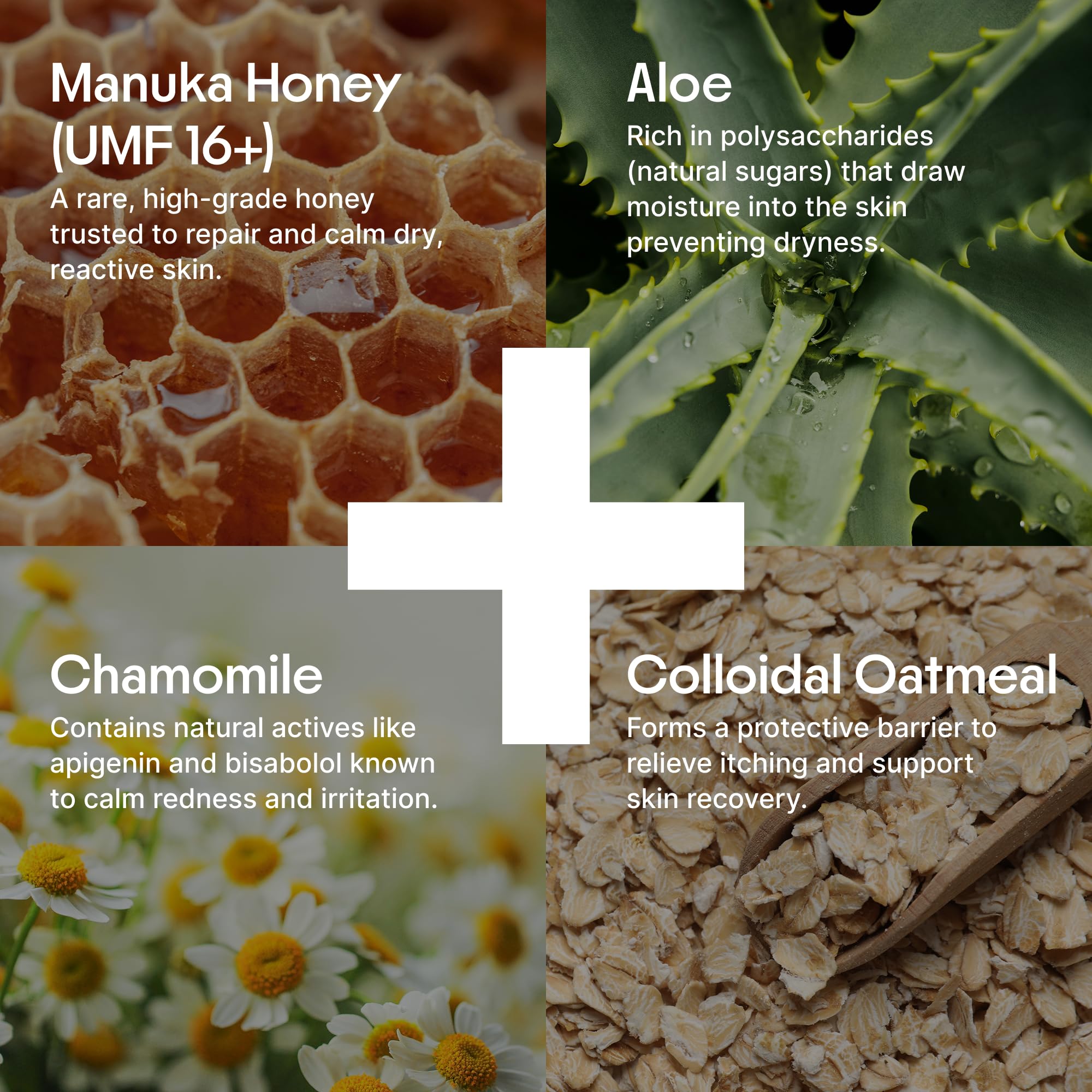 Facial application of Clearbody Organics Manuka Honey Cream