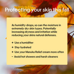 Packaging close-up of Clearbody Organics Manuka Honey Cream, compact design.