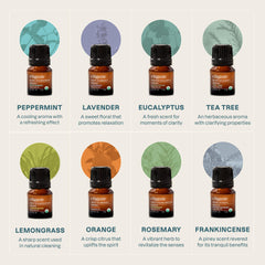 Open gift set showing eight essential oil bottles