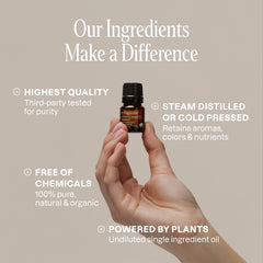 Banner image for Cliganic Organic Essential Oils Set Top 5 Classics