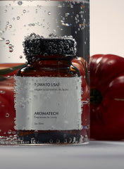 Close-up of tomato leaf aroma oil droplets
