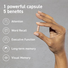 Cocoapro+ plant-based blend and cocoa extract illustration