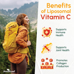 Coconut oil and MCT fatty acids support liposomal delivery