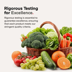 Chicory inulin prebiotics visual