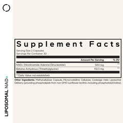 Liposomal delivery system illustration with non-GMO sunflower oil