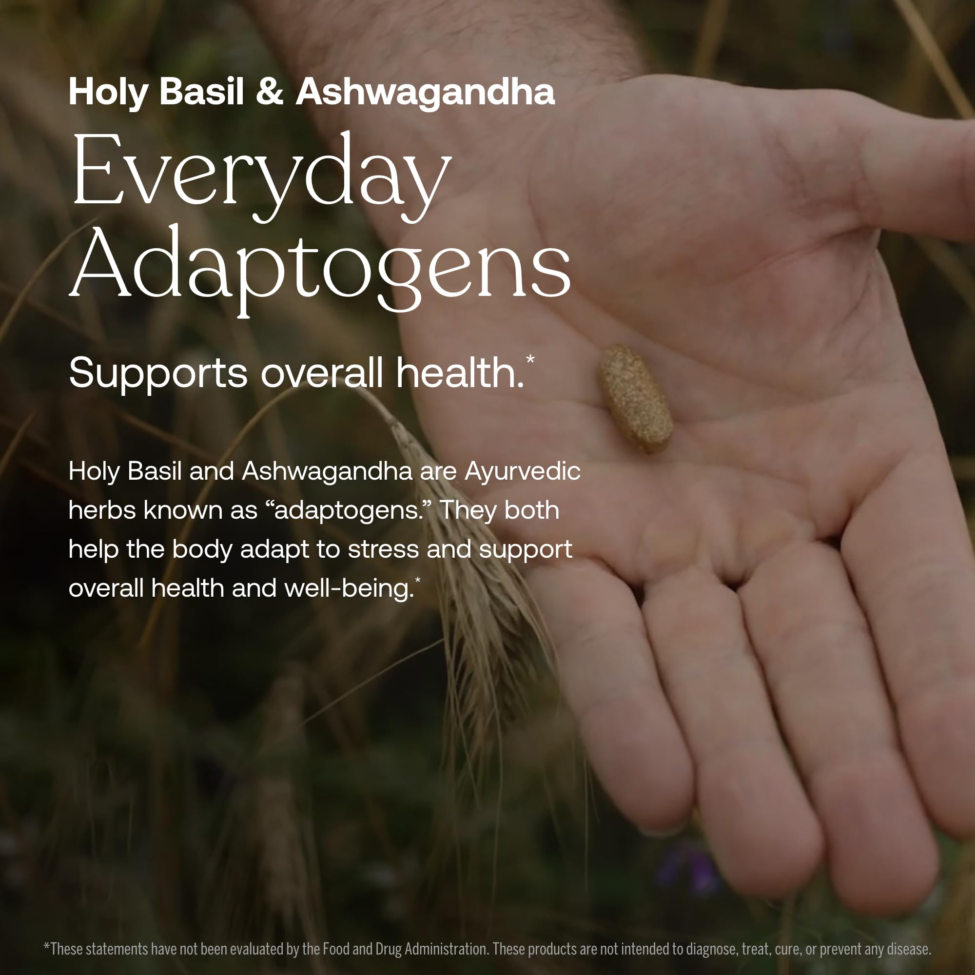 Coenzyme B vitamins in their most active form