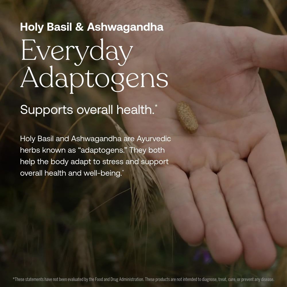 Coenzyme B vitamins in their most active form