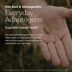 Coenzyme B vitamins in their most active form
