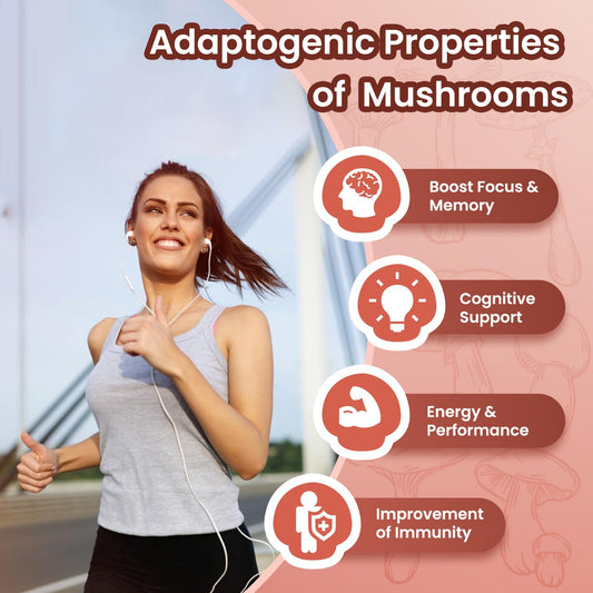 Label highlighting 10-mushroom complex for cognitive support